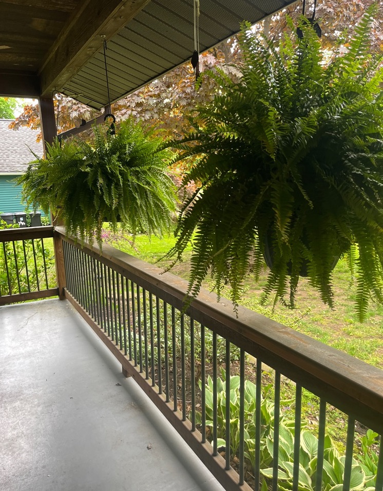 mosquito treatment on porches