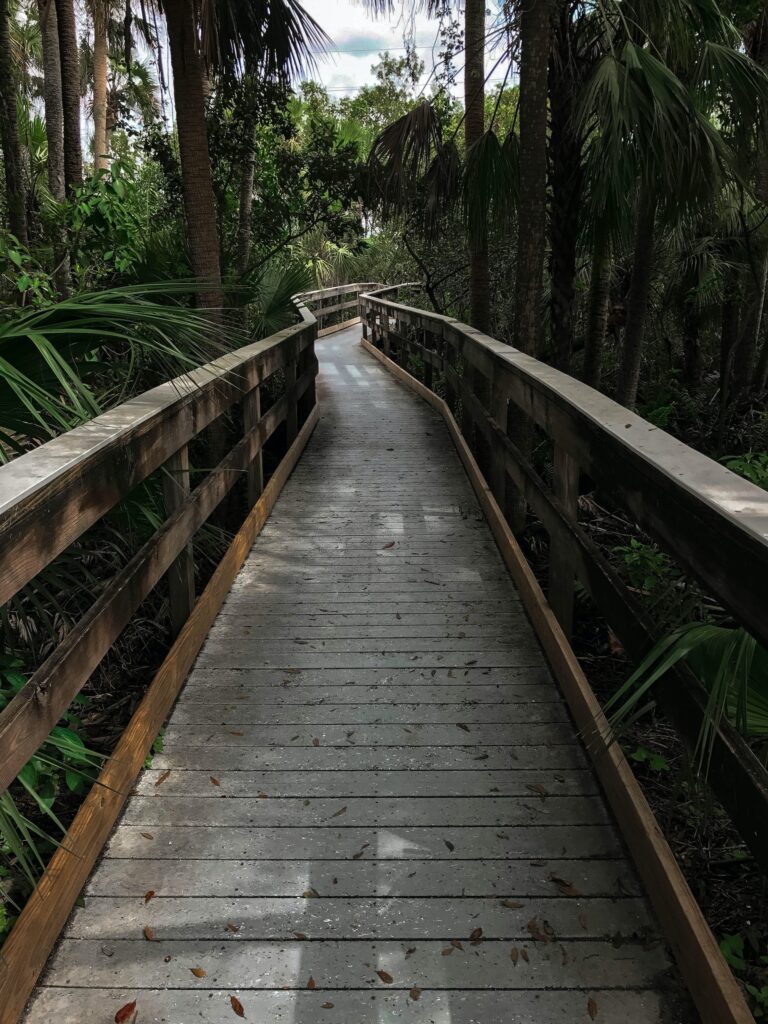 Manatee Park