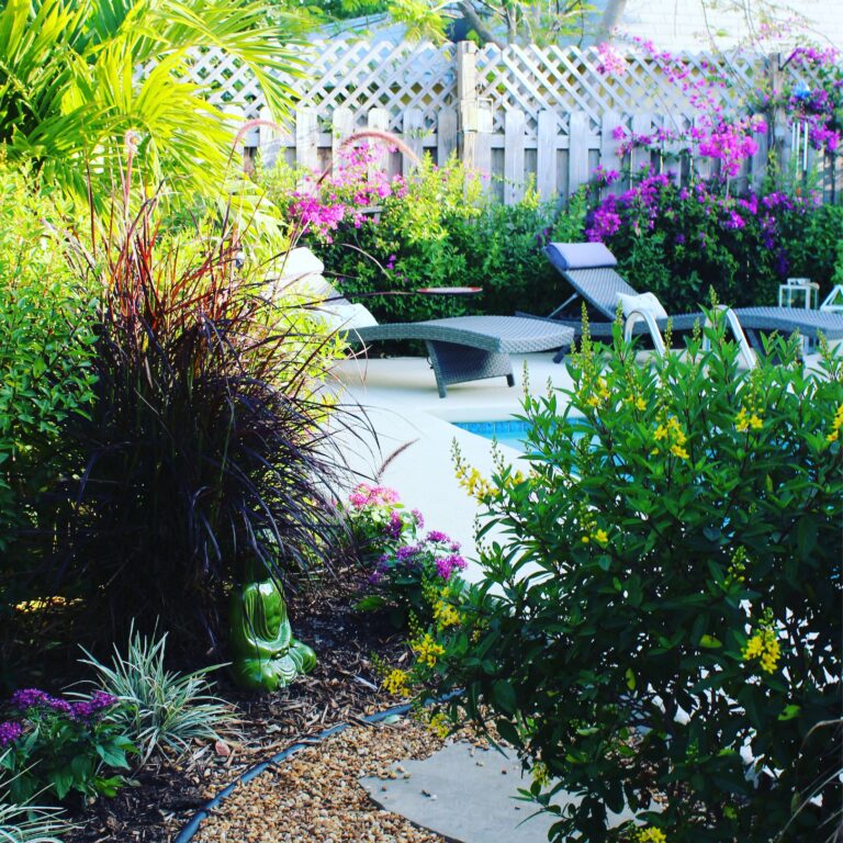 backyard with pool