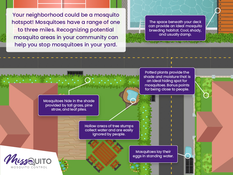 infographic of mosquito hot spots and breeding spots around your house